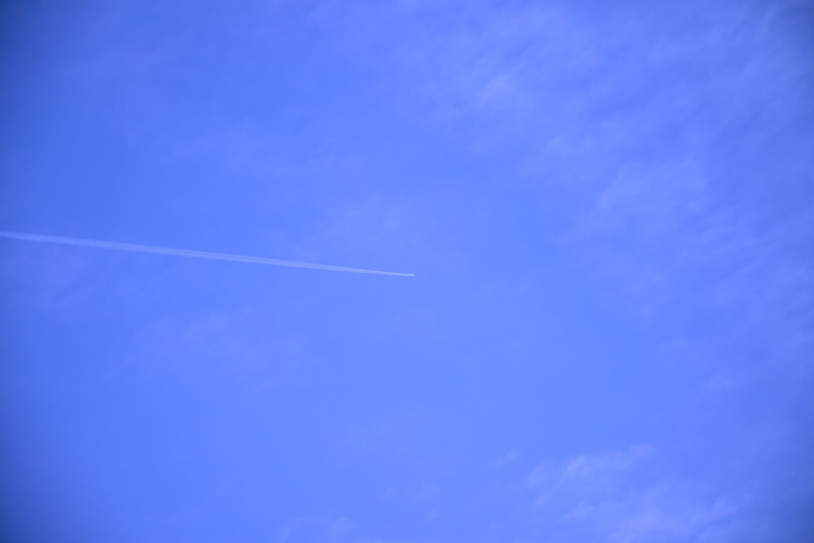 NIKON Z5_2で撮影
