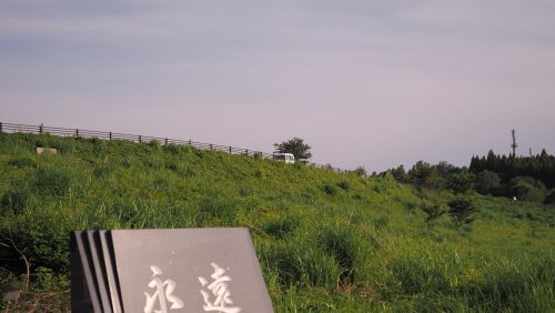 OM-3で撮影