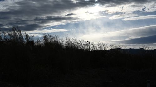 NIKON Z 7_2で撮影