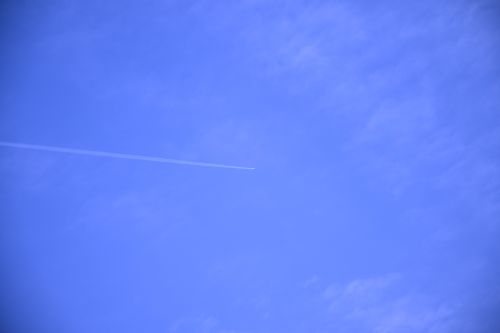 NIKON Z5_2で撮影