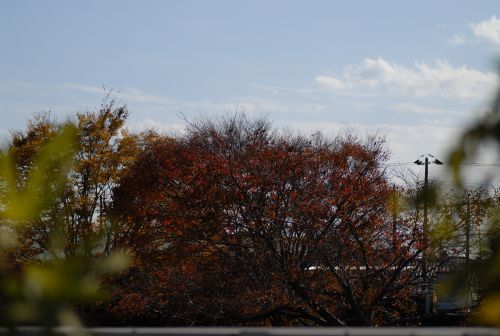 NIKON D200で撮影
